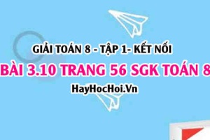 Giải bài 3.10 trang 56 Toán 8 Tập 1 SGK Kết nối tri thức